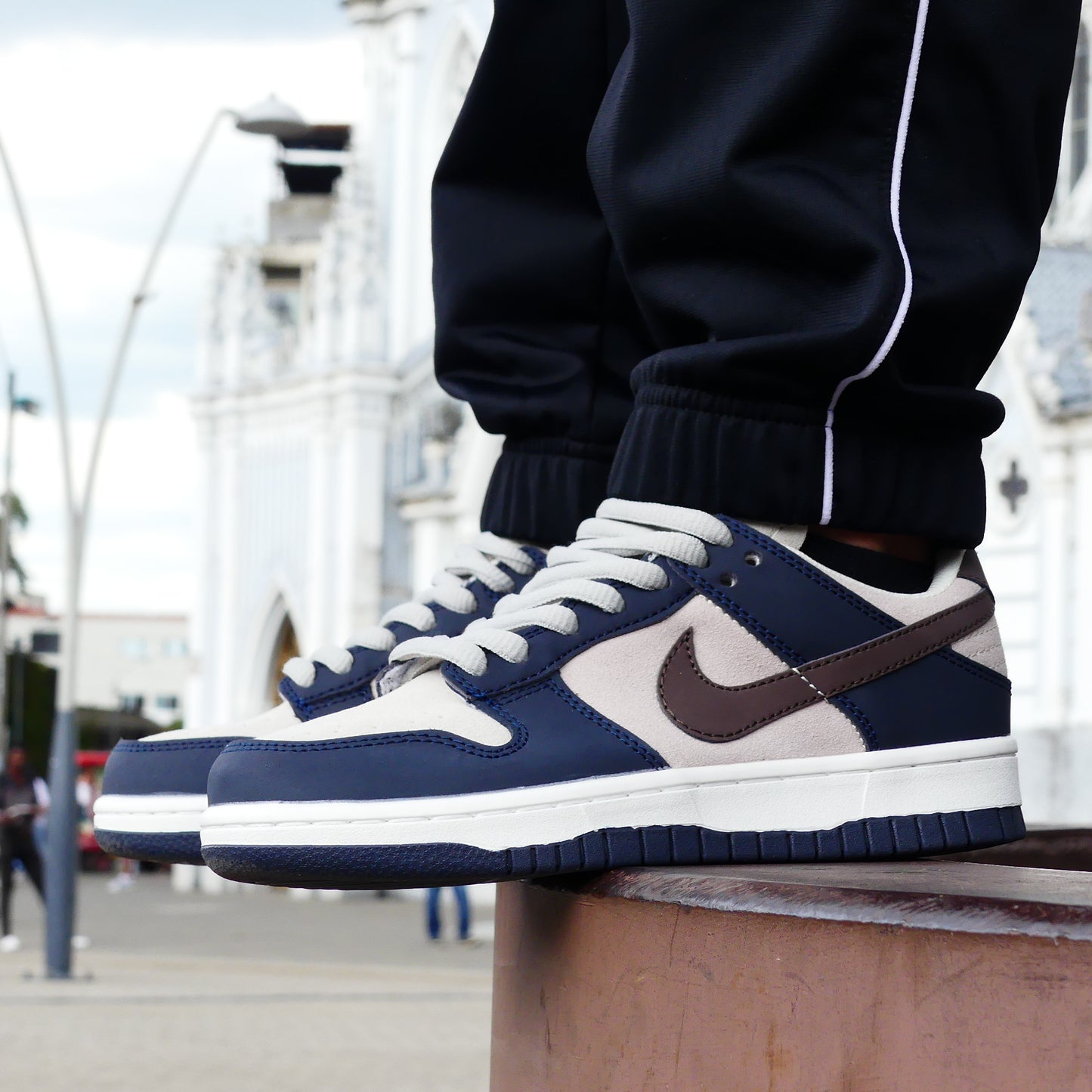 NIKE SB DUNK LOW